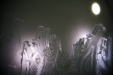 Thumbnail img_0995.jpg 
