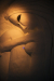 Thumbnail img_1009.jpg 