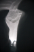 Thumbnail img_1030.jpg 