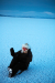 Thumbnail img_1203.jpg 