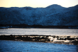 Thumbnail img_1322.jpg 