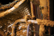 Thumbnail img_1481.jpg 