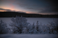 Thumbnail img_1666.jpg 
