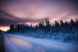 Thumbnail img_1736.jpg 