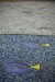Thumbnail _mg_7616.jpg 