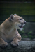 Thumbnail _mg_7845.jpg 