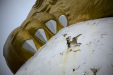 Thumbnail _mg_8388.jpg 