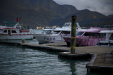 Thumbnail _mg_8526.jpg 