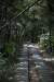 Thumbnail _mg_8668.jpg 