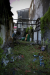 Thumbnail _mg_8696.jpg 