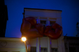 Thumbnail _mg_8731.jpg 