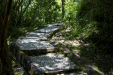 Thumbnail _mg_9242.jpg 