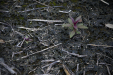 Thumbnail _mg_9374.jpg 