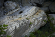 Thumbnail _mg_9939.jpg 