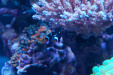 Thumbnail img_9503.jpg 
