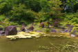 Thumbnail img_9531.jpg 