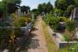 Thumbnail img_9557.jpg 