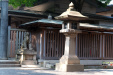 Thumbnail img_9581.jpg 