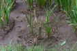 Thumbnail img_9870.jpg 
