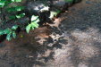 Thumbnail img_9874.jpg 