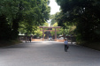 Thumbnail img_9879.jpg 
