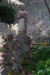 Thumbnail img_9982.jpg 