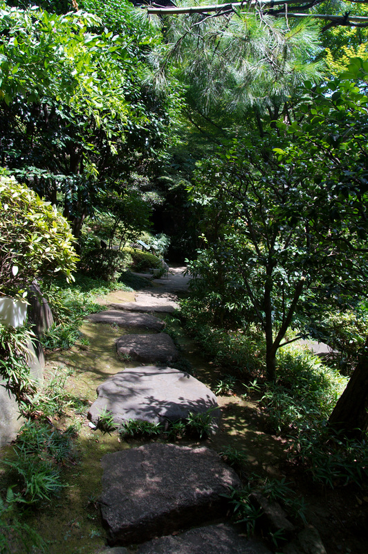 img__0038.jpg 