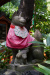 Thumbnail img_0129.jpg 