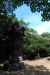 Thumbnail img_0144.jpg 