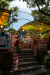 Thumbnail img_0150.jpg 