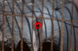 Thumbnail img_0151.jpg 