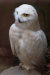 Thumbnail img_0180.jpg 