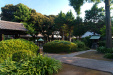Thumbnail img_0308.jpg 