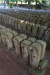 Thumbnail img_0313.jpg 
