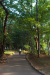 Thumbnail img_0322.jpg 