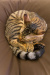 Thumbnail img_0339.jpg 