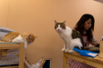 Thumbnail img_0349.jpg 