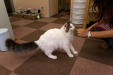 Thumbnail img_0370.jpg 