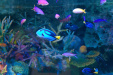 Thumbnail img_0563.jpg 