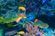 Thumbnail img_0565.jpg 