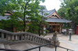 Thumbnail img_0642.jpg 