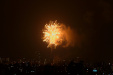 Thumbnail img_0833.jpg 
