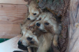 Thumbnail img_1423.jpg 