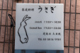 Thumbnail img_1445.jpg 