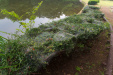 Thumbnail img_1557.jpg 