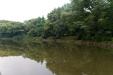 Thumbnail img_1558.jpg 