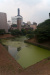 Thumbnail img_1594.jpg 