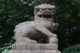Thumbnail img_1601.jpg 