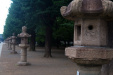 Thumbnail img_1605.jpg 