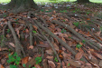 Thumbnail img_1627.jpg 